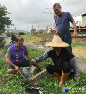 大甲區后里排水溝岷山里支線，昨日被發現大量溪魚，居民指責罔顧良心的肇事者，籲環保單位早日出兇手嚴懲。（記者陳榮昌攝）