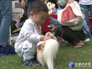 毛寶貝同樂會 貓狗匯集宣導不棄養