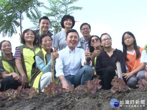 秋季柚熟果皮多 自製清潔劑安心又好用