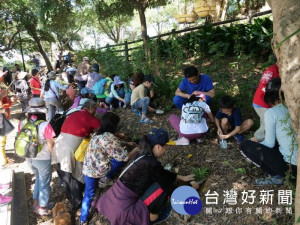 「大古農情－大古山野百合FUN華系列活動」，數千名遊客來來往往使得現場熱鬧非凡。 
