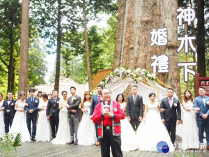 2018阿里山神木下婚禮 浪漫登場