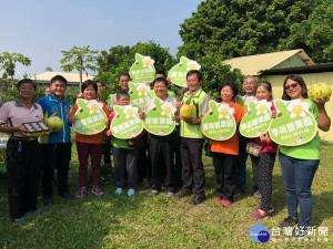 花壇鄉西施柚文化活動即將展開。圖／記者鄧富珍攝