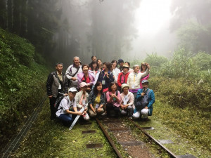 阿里山森林浴 森林療癒初登場