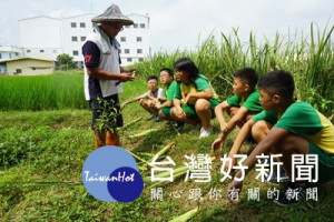 深耕食農教育-外埔區小學結合花博元素推廣