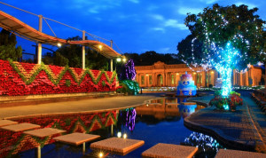 公館聖誕季浪漫登場　12/1自來水園區免費入園