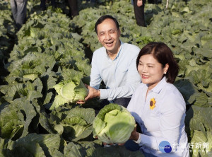 市長朱立倫利用周末南下雲林縣關心高麗菜生產情形。（圖／果菜公司提供）