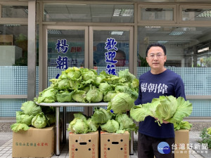 市議員楊朝偉購買大批的高麗菜給民眾。