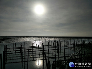 橫掛式蚵田夕照之美。圖／記者鄧富珍攝