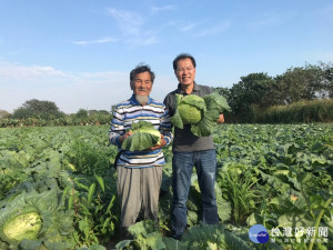 前嘉義縣副縣長吳芳銘幫高麗菜農找出路，協助處理150公噸高麗菜