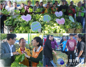 宜蘭縣政府發起特賣會助農民促銷高麗菜。（圖／陳木隆攝）