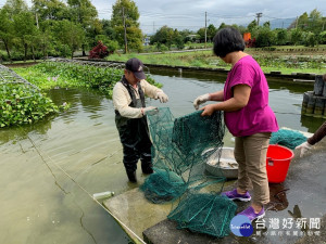 壽豐休閒農業區－抓龍蝦吃龍蝦體驗，也可以了解小龍蝦飼養過程。（圖／記者王丰和攝）