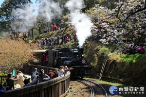 全臺唯一紅色聖誕遊程 就在阿里山林鐵