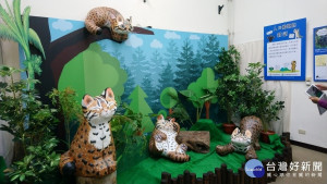 特生中心「與你相遇-森、里、川、海」特展現場，有可愛的大石虎模型供民眾拍照。〈記者吳素珍攝〉