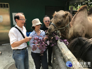 動物小「甜」園　毛孩子健康吃