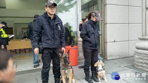 桃園歲末跨年晚會，中壢分局協調新北警犬隊警犬協勤，進行偵測爆裂物及查緝違禁品。