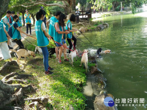 緝毒犬在興大中興湖畔訓練。林重鎣攝