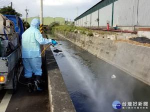 阻絕非洲豬瘟　屏東加強死廢畜管理