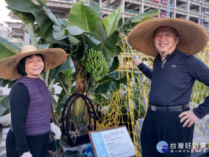 長者的蓊綠秘密基地　北市復華長青中心屋頂打造開心農場