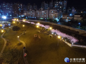 樂活公園夜櫻空拍