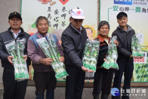 
大安區種植青蔥五十餘年的兄弟黃益賦、黃益清因遵守農會的種植輔導種植技術，並取得吉園圃到生產履歷申請認證，優良青蔥產品而能駐進臺中市裕毛屋生鮮超市及惠康等超市販售，賺得利益。（記者陳榮昌攝）

