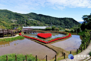 白石湖同心池（圖／台北市大地工程處提供）