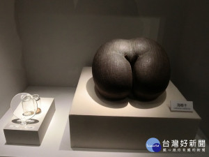 科博館《百籽千尋》特展，世界最大種子海椰子、最小的蘭科種子。