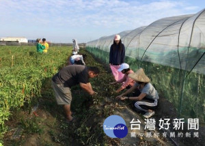 大專生走入農村，創造月眉社區新活力