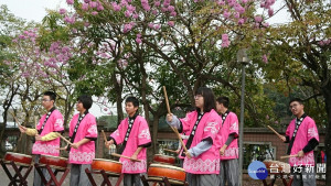 嘉義特教洋紅風鈴木花盛開 學生職教成果展才藝