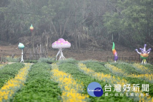 三和展區的「和窯文創園區」–B展區裝置藝術區中，仍有八成金黃璀璨的魯冰花海等你來一睹風采！