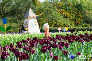 踏青區紫色鬱金香浪漫指數破錶（圖／台北市公園處提供）