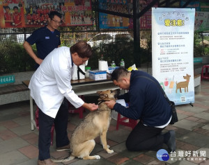 守護毛孩健康　中市3月狂犬疫苗及晶片巡迴注射開跑