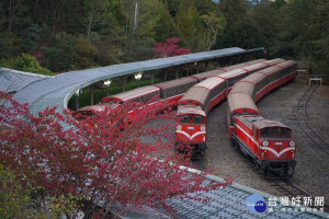 相約浪漫花季，林鐵再推「《綻放。舞櫻》主題列車」