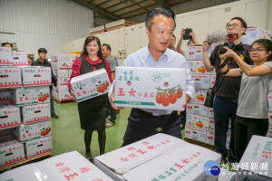 拓展農產品國際市場 「好嘉」小番茄進軍香港