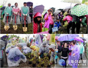 上千民眾參與大洲植樹健走活動。（圖／陳木隆攝）