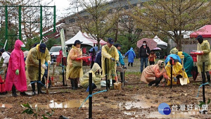 延續台灣原生綠　中市府與中央合辦植樹活動