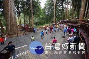 阿里山花季系列活動首部曲-3/13熱鬧慶開鑼