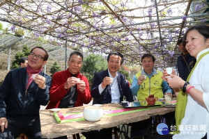 瑞里紫藤花邁入盛開期，翁章梁縣長上山代言地方產業