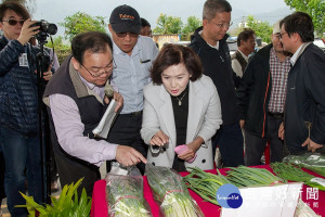 縣長林姿妙到三星地區農會物流中心了解休眠保鮮包裝機的實質收益。（圖／宜蘭縣政府提供）