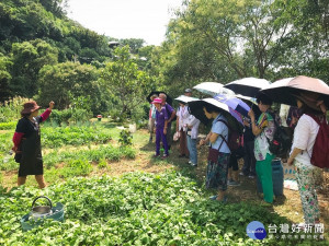  十三行博物館推出全新樂齡行程，22日中午12點開放報名。（圖／十三行提供）