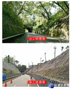 犯眾怒！市府粗暴砍樹毀了東豐綠廊 