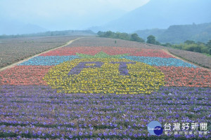 連假休閒好去處　「鳳梨彩繪田」繽紛185縣道