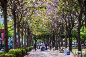 嘉義市文化路限定美景、美食、藝術 連假從早到晚不藏私玩法大公開（圖／嘉義市政府提供）