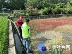 

市議員施志昌昨日邀集台中農田水利會與農民會勘泥沙流入灌溉溝渠影響範圍，施議員要求水利會儘速處理，以免影響農民耕作。（記者陳榮昌攝）