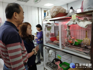 認養毛寶貝除了到新北市8間動物之家外，還有和寵物美容用品店異業合作，目前有37間寵物愛心認養小棧，希望讓毛寶貝們都能找到幸福歸宿 。（圖／記者黃村杉攝）