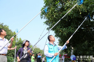 「卡檨仔，做檨仔青」-鹿草採芒節熱鬧登場