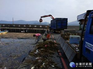 北海岸海面出現的大量銅藻及海漂垃圾流進漁港，影響漁民進出作業，金山區漁會立即清理，還給大家乾淨的漁作空間 。（圖／漁業處提供）

