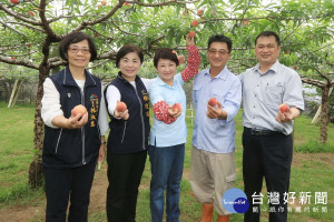 盧市長趟訪桃之鄉果園