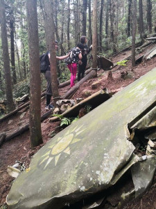 近來淡江大學蘭陽校園全球發展學院院長包正豪登山時，再披露陸軍少校劉傳集41年前執行任務時墜機，其飛機殘骸仍在失事現場，進而促成劉傳集遺眷41年後上山招魂。對此，國防部陸軍司令部8日回應，將協助劉傳集入祀地方忠烈祠，並建立紀念碑。（圖／包正豪Facebook）