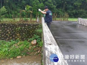 環保局派員前往牛欄河橋稽查