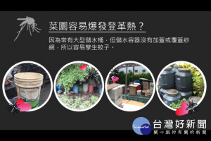 種菜不要蚊子來 預防登革熱 儲水容器紗網製作懶人包超簡單